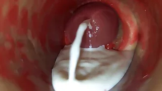 Sex Gay Porn 1